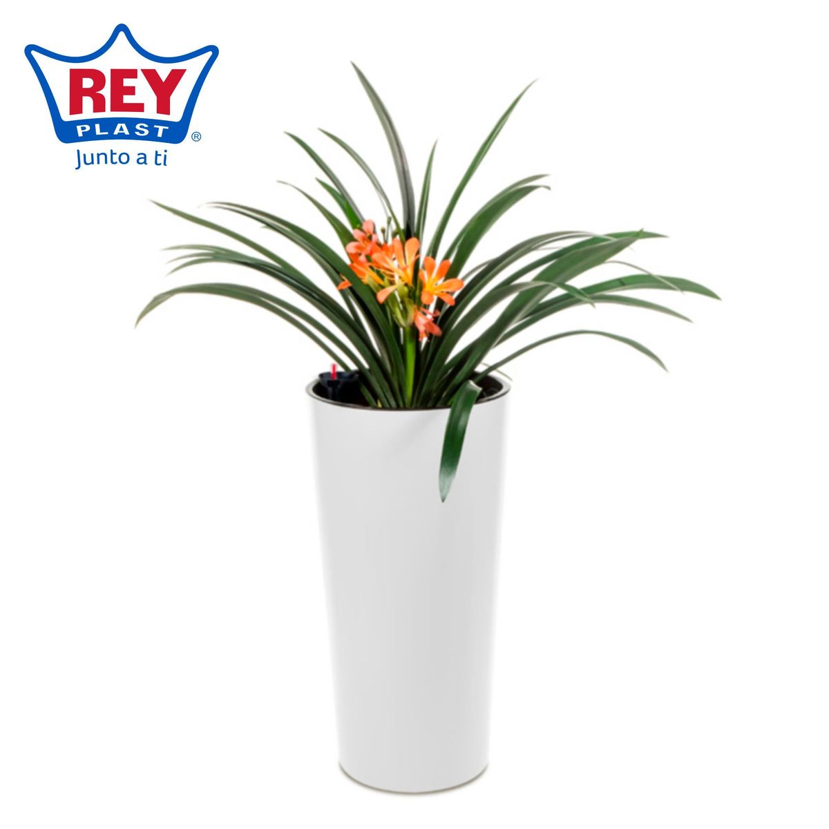 REYPLAST - Maceta Marfil con Riego Blanco 30x57x