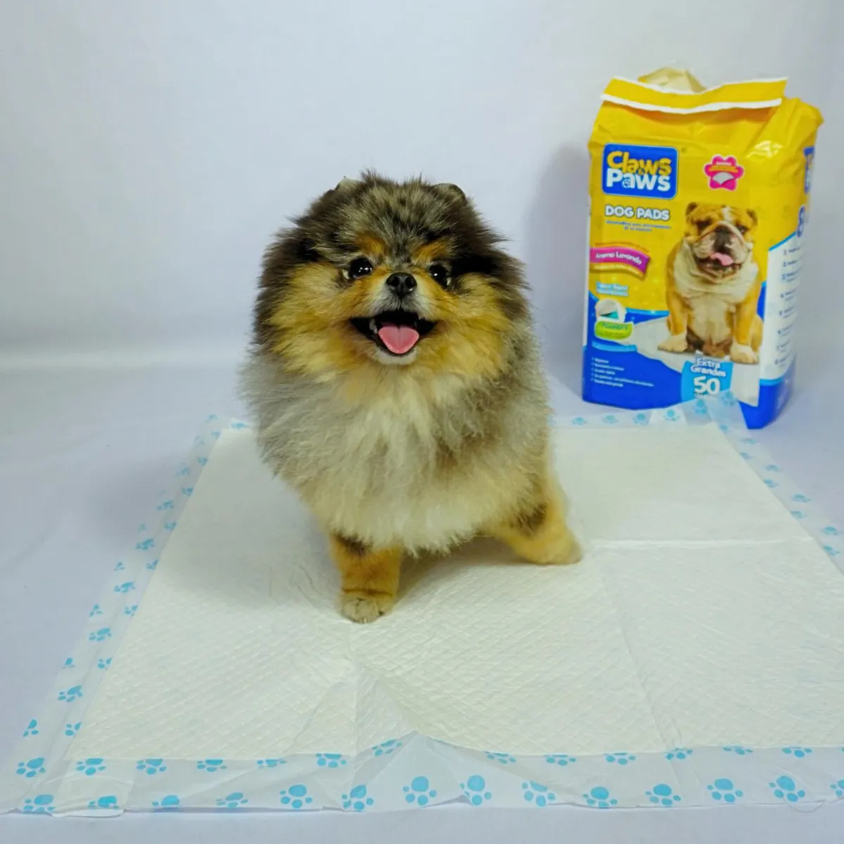 CLAWS & PAWS - Pañal para Perros 50 unidades Tela Impermeable Blanco