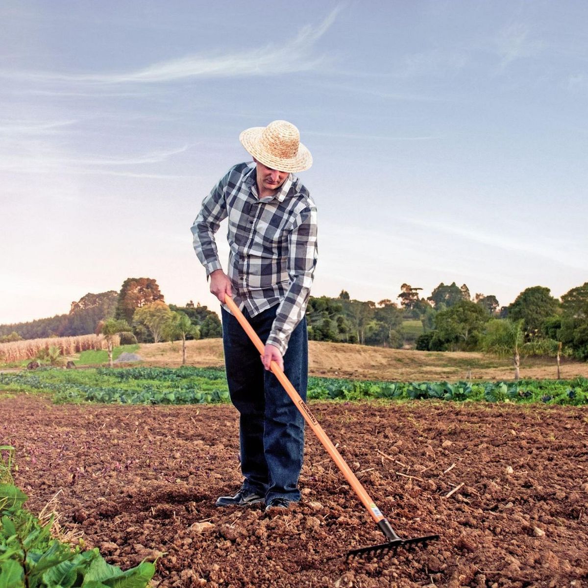 TRAMONTINA - Rastrillo Curvo Liviano Acero Negro 34.7x9.2cm