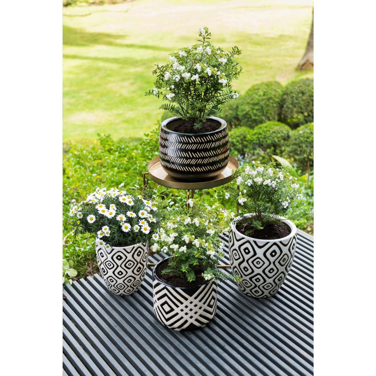 JUST HOME COLLECTION -  de Cerámica 23x18 cm Negro