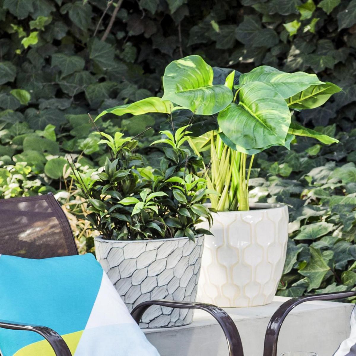 JUST HOME COLLECTION - Macetero Uthai Wash 29x23cm