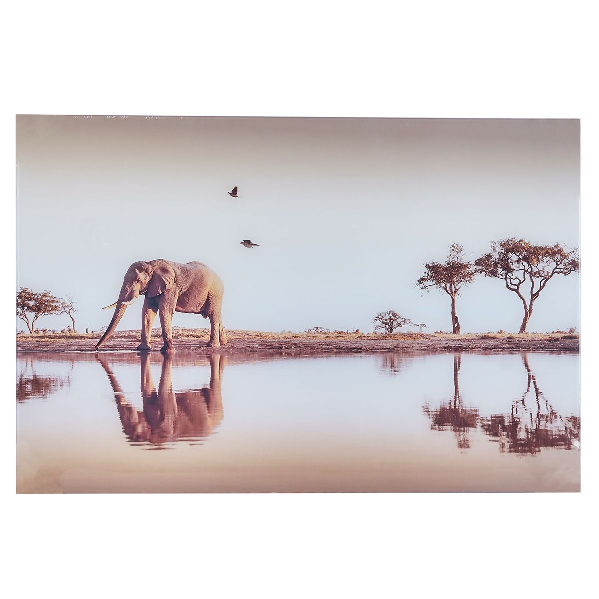 JUST HOME COLLECTION - Cuadro Decorativo Elefante 40x60cm