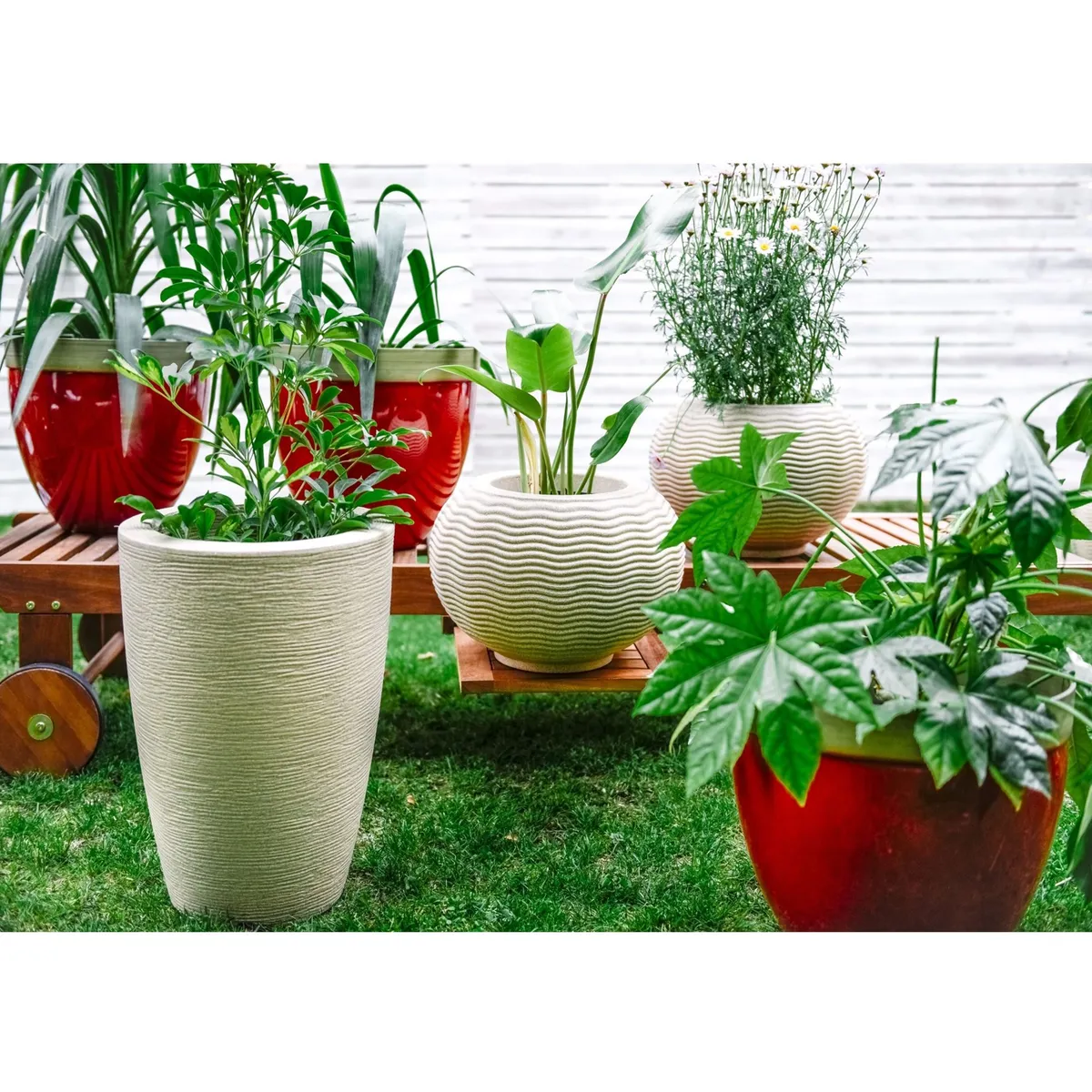 JUST HOME COLLECTION - Macetero Ondulado Redondo 26 Arena