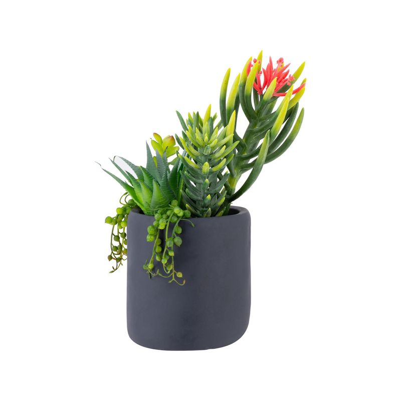 JUST HOME COLLECTION - Arreglo Suculenta con Maceta 30cm