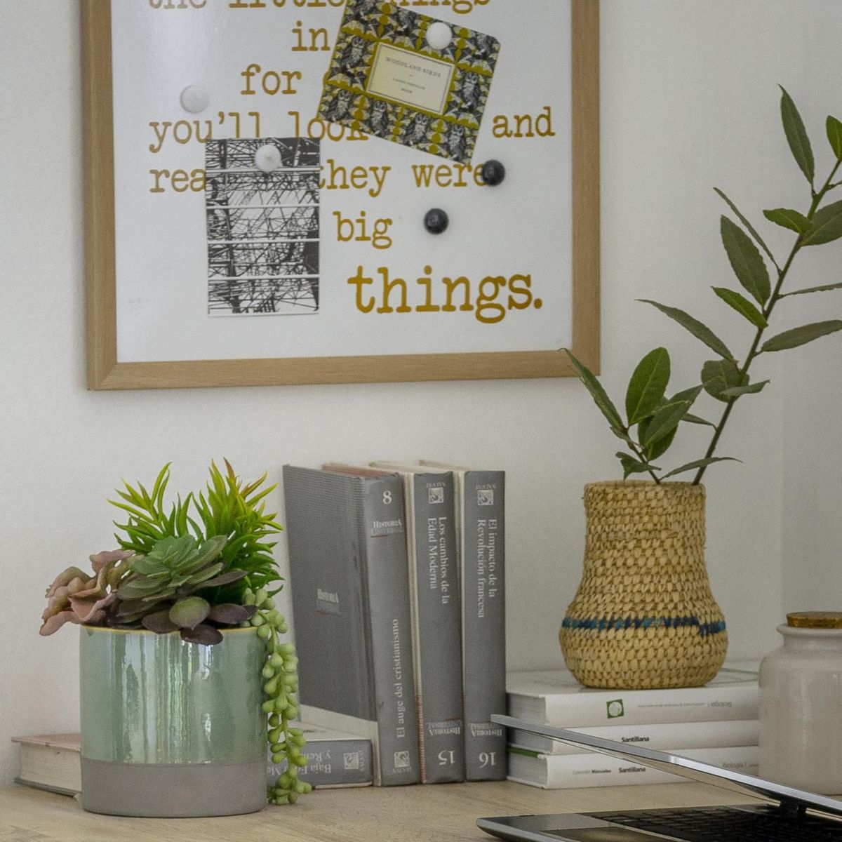 JUST HOME COLLECTION - Arreglo Suculenta Verde 23cm