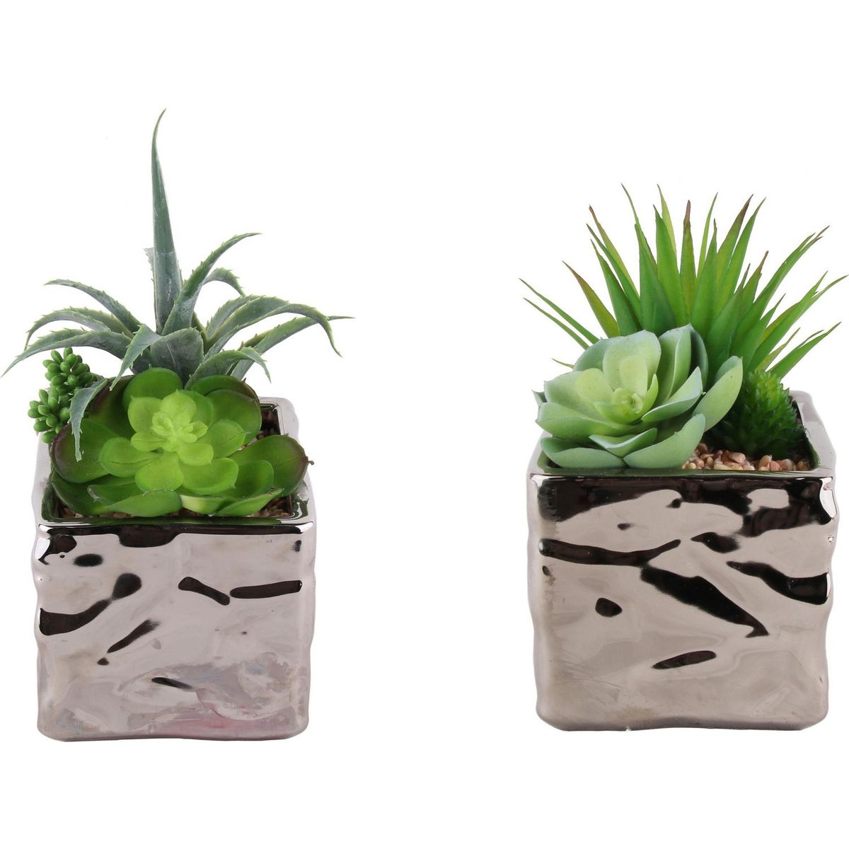 JUST HOME COLLECTION - Suculenta 17cm 2d 27ud