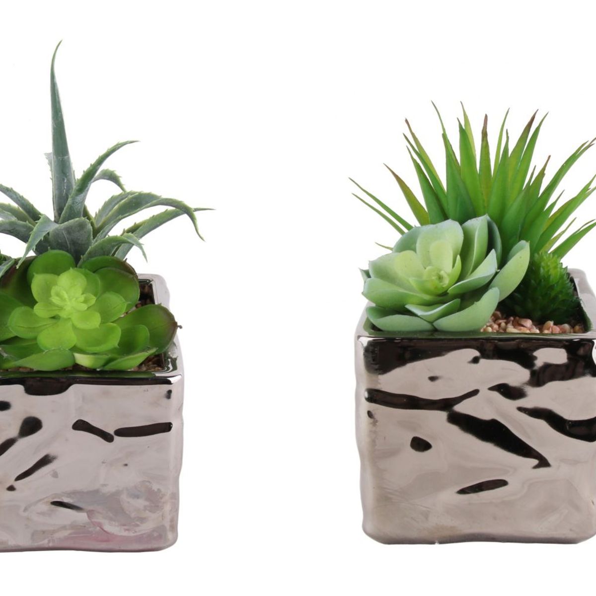 JUST HOME COLLECTION - Suculenta 17cm 2d 27ud