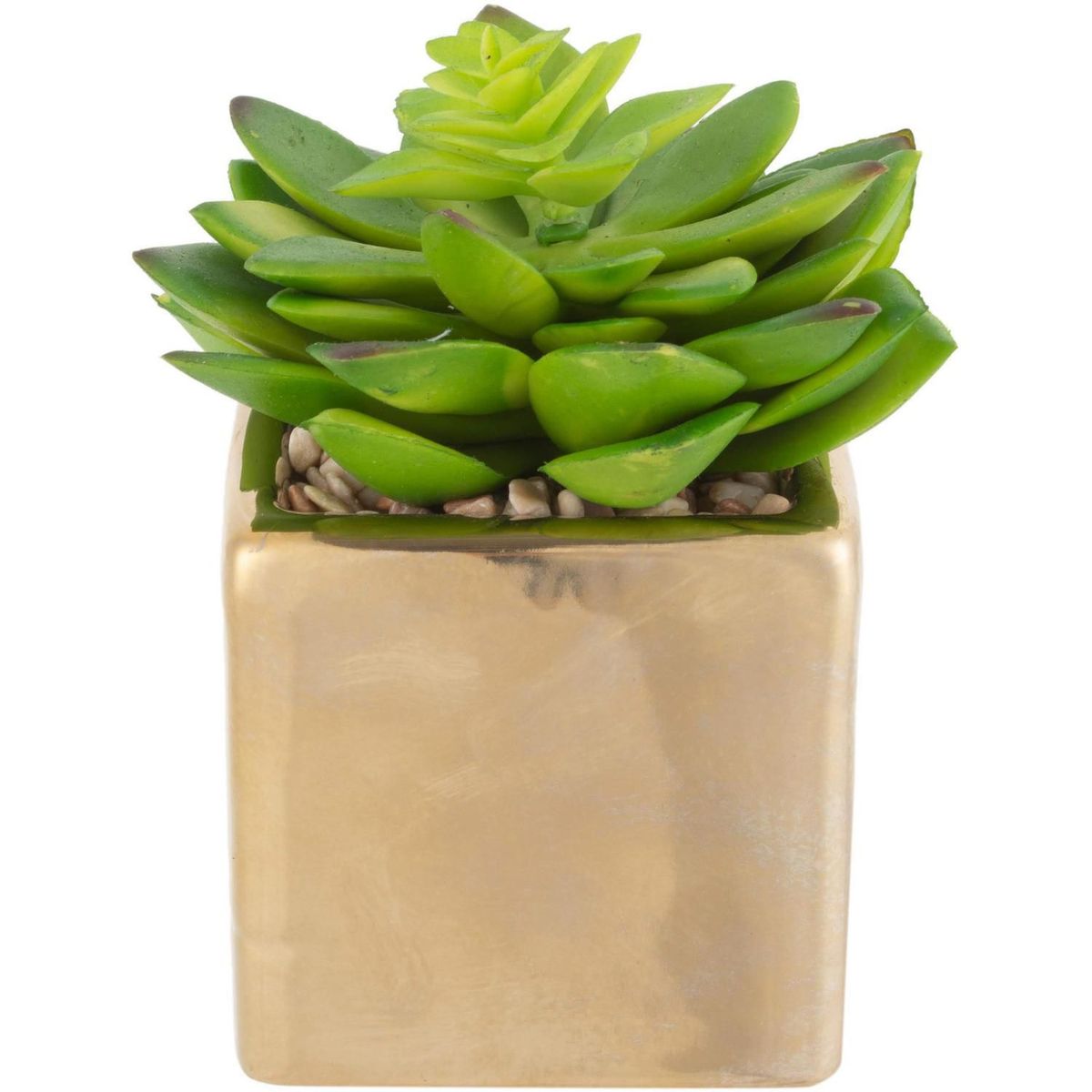 JUST HOME COLLECTION - Arreglo Suculenta Con Maceta Dorado 10cm
