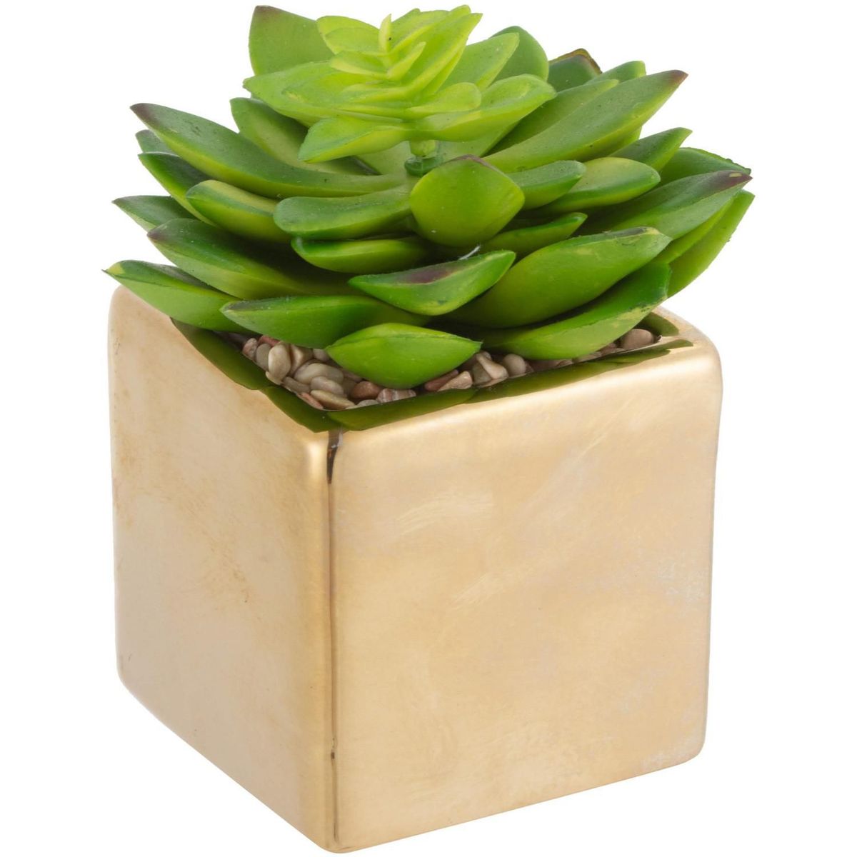 JUST HOME COLLECTION - Arreglo Suculenta Con Maceta Dorado 10cm