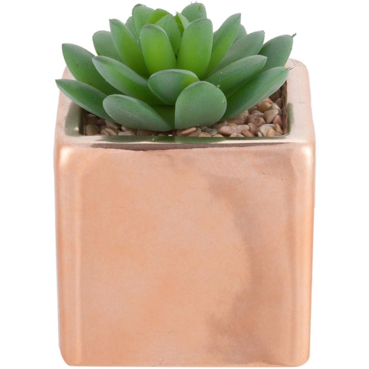 JUST HOME COLLECTION - Arreglo Suculenta Con Maceta Rosado 10cm