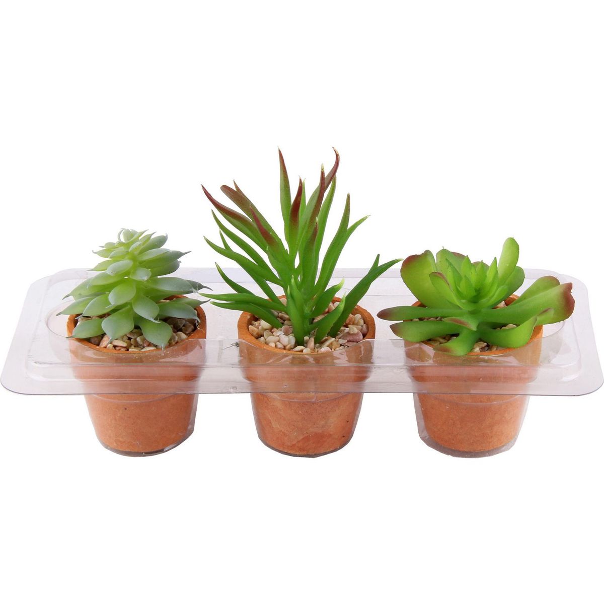 JUST HOME COLLECTION - Set x 3 Macetas Terra Suculenta 10cm