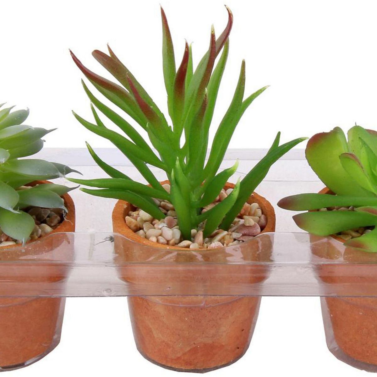 JUST HOME COLLECTION - Set x 3 Macetas Terra Suculenta 10cm