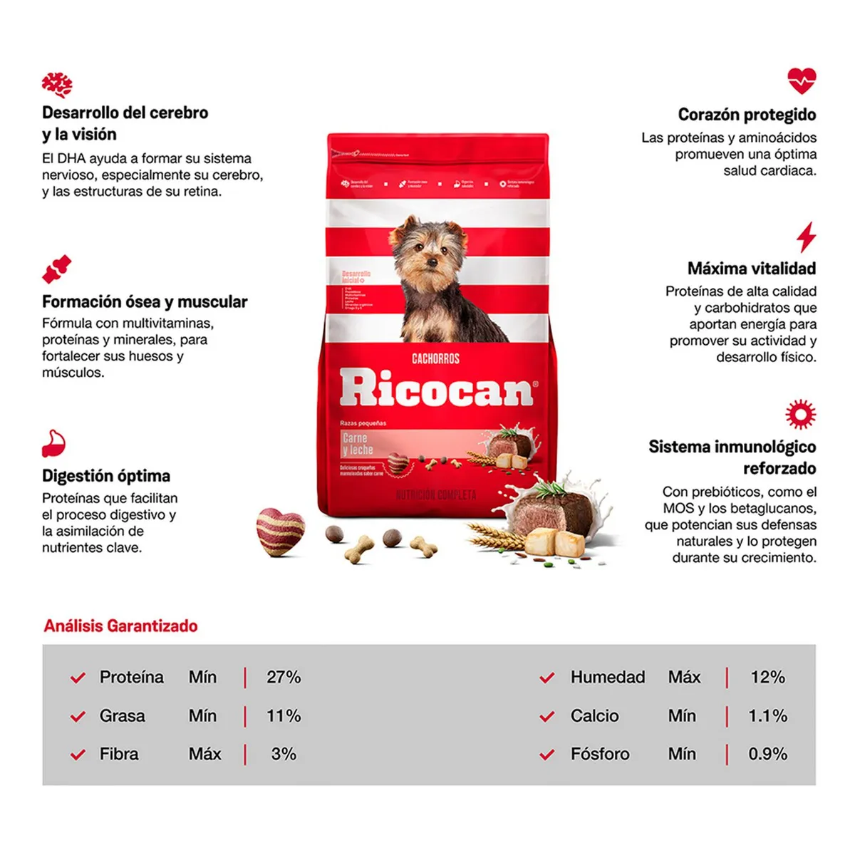 RICOCAN - Ricocan Cachorros Raza Mediana/Grande Alimento Perros 8kg
