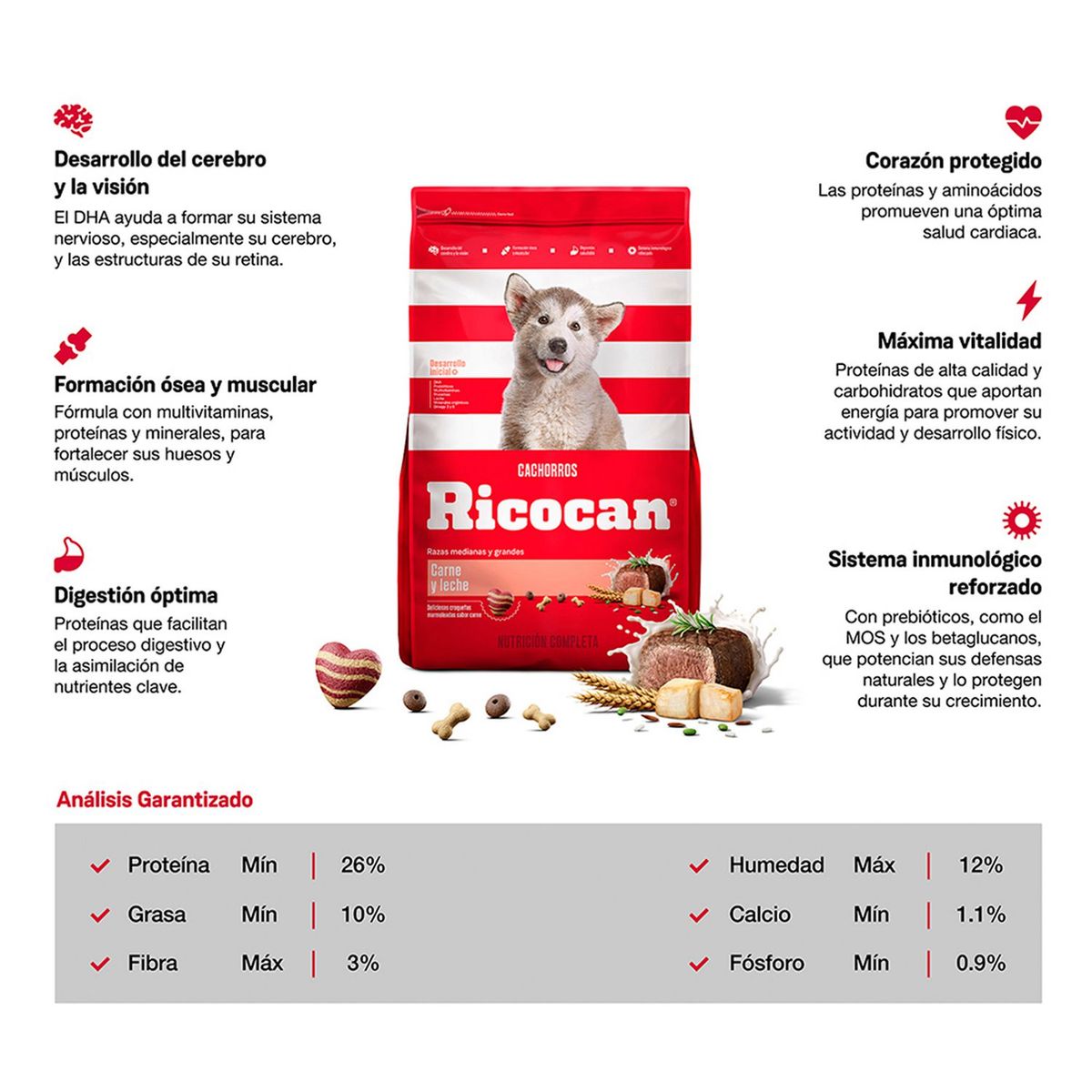 RICOCAN - Ricocan Adultos Raza Mediana/Grande Alimento Perros 8kg