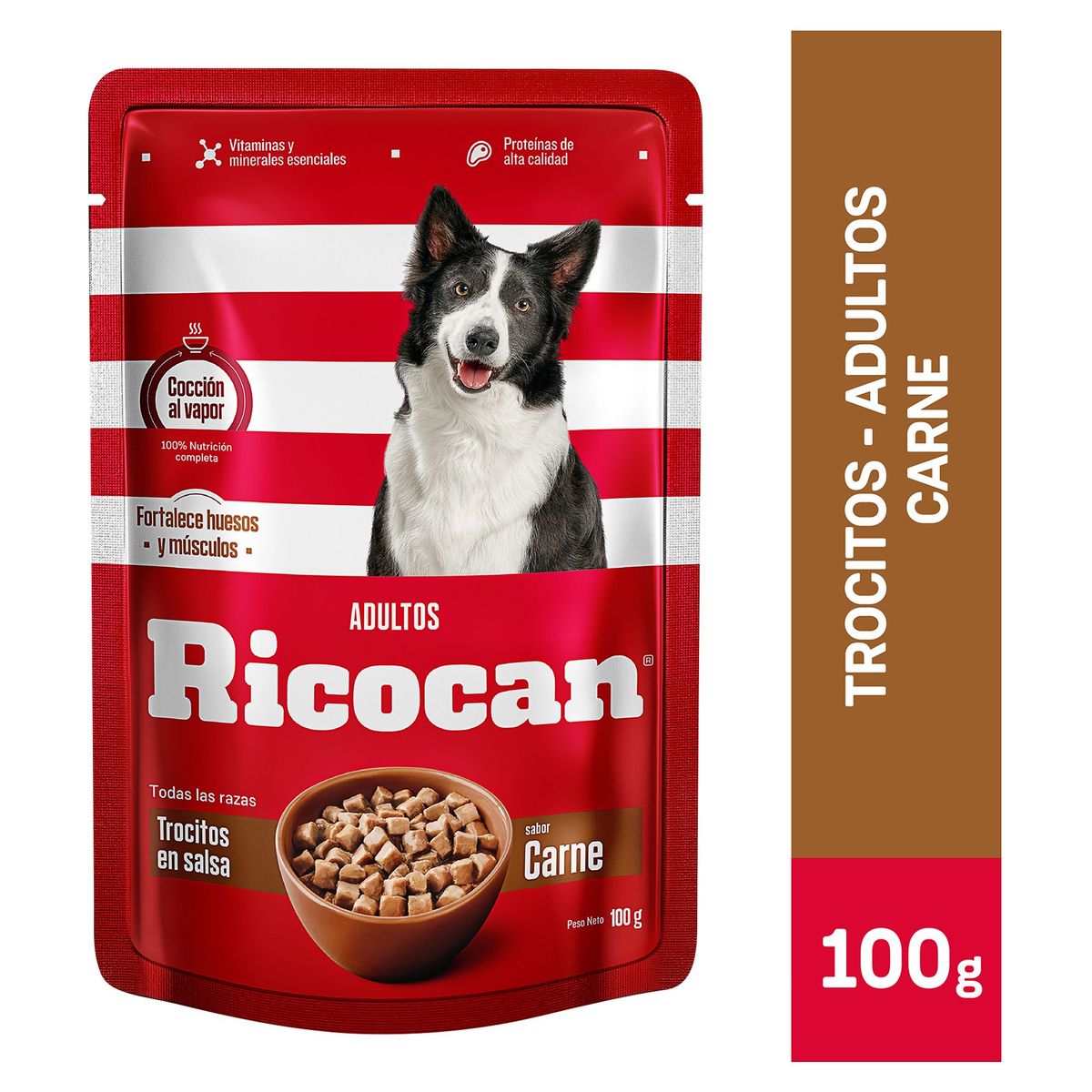 RICOCAN - Ricocan Adultos Alimento Perros Pouch Trocitos 100gr Carne