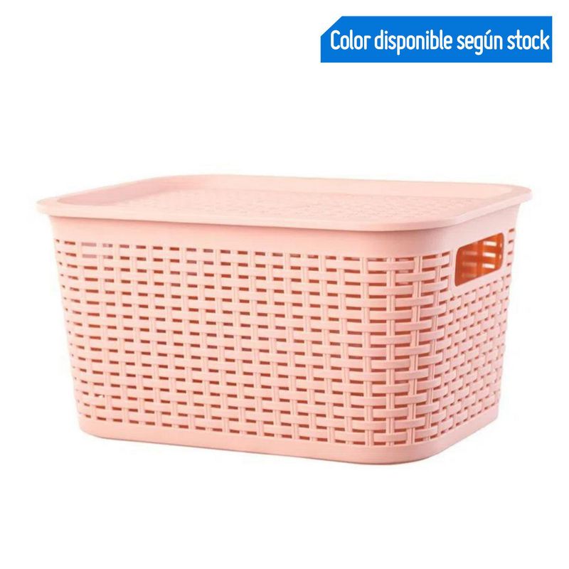REYPLAST - Canastilla Plástica Organizadora Multiuso Tavarua 6.5L