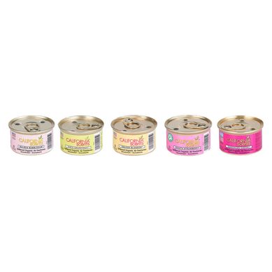 Aromatizante Car Scents Aroma Variado 42 gr