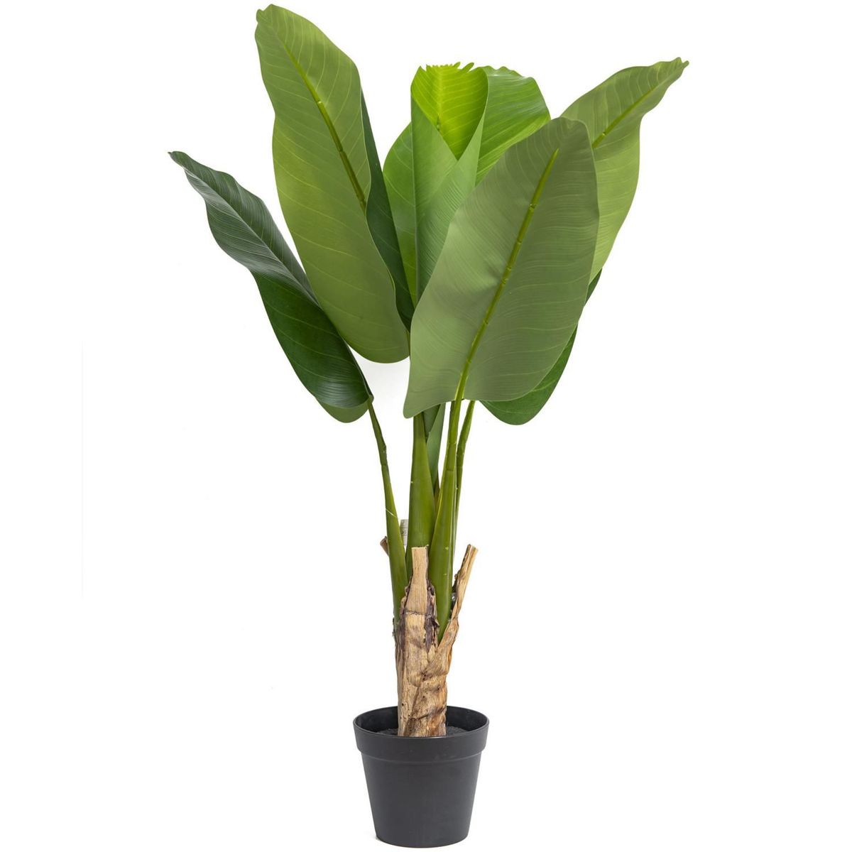 JUST HOME COLLECTION - Planta artificial Banano Verde 83x90cm