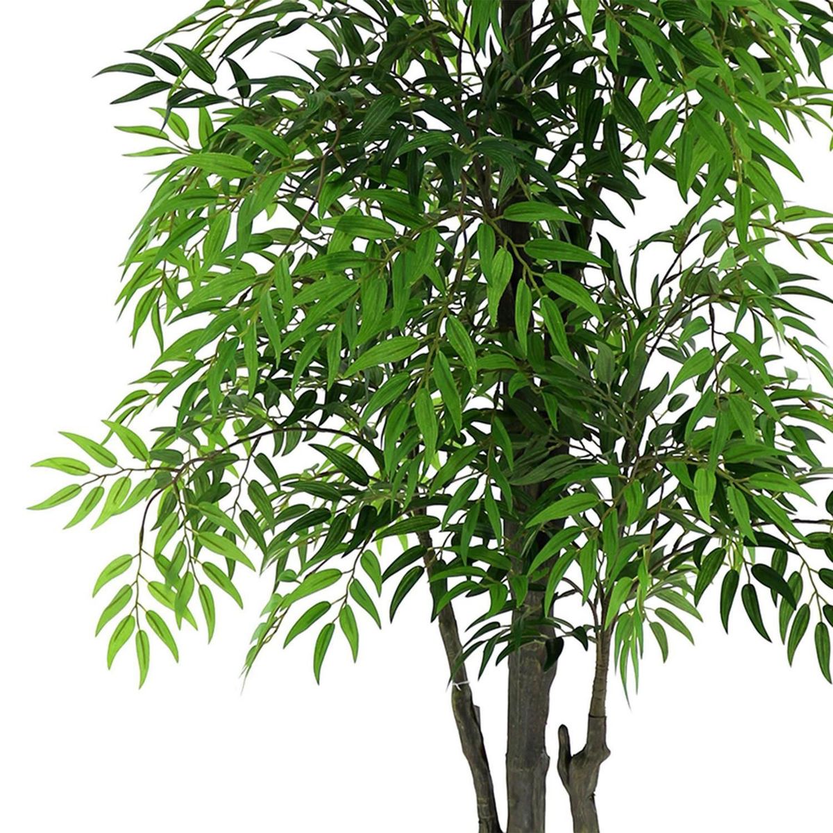 JUST HOME COLLECTION - Planta Artificial Love Sick Verde 168cm