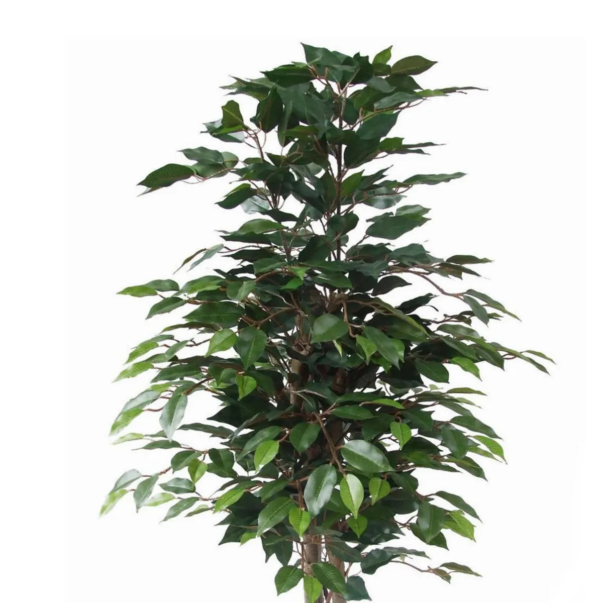JUST HOME COLLECTION - Planta artificial Ficus Verde 55x126cm
