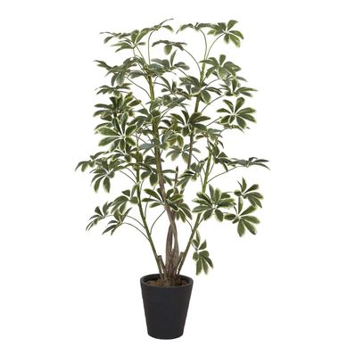Planta artificial Schefflera Verde 69x172cm