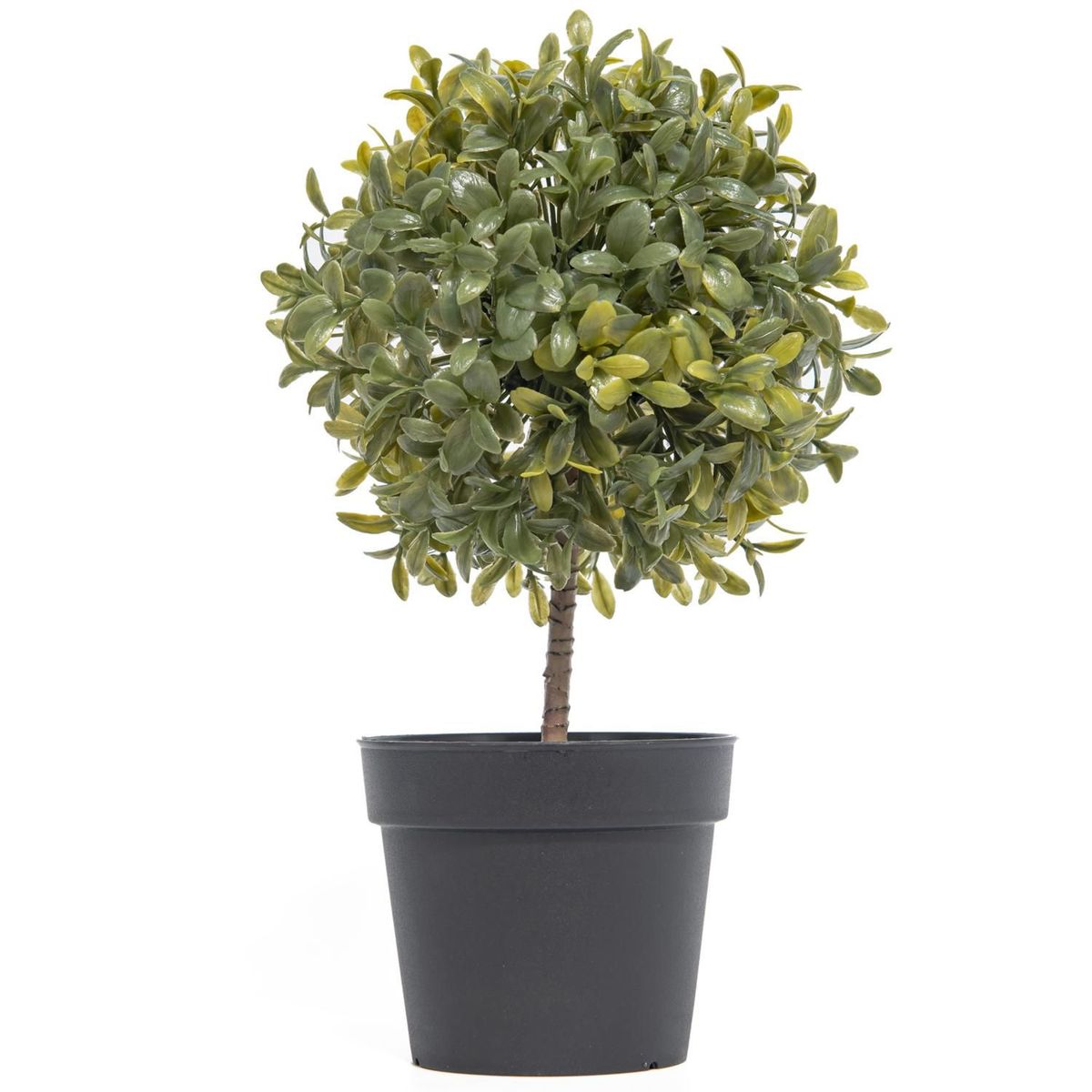 JUST HOME COLLECTION - Planta Artificial Bola Murraya Verde 10x24cm