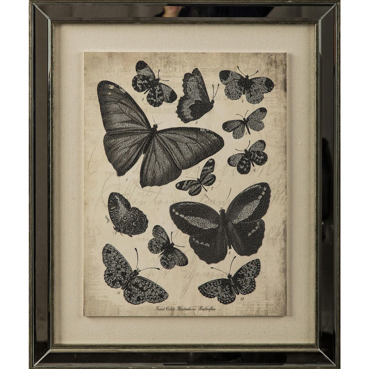 JUST HOME COLLECTION - Cuadro Mariposas 46x46cm