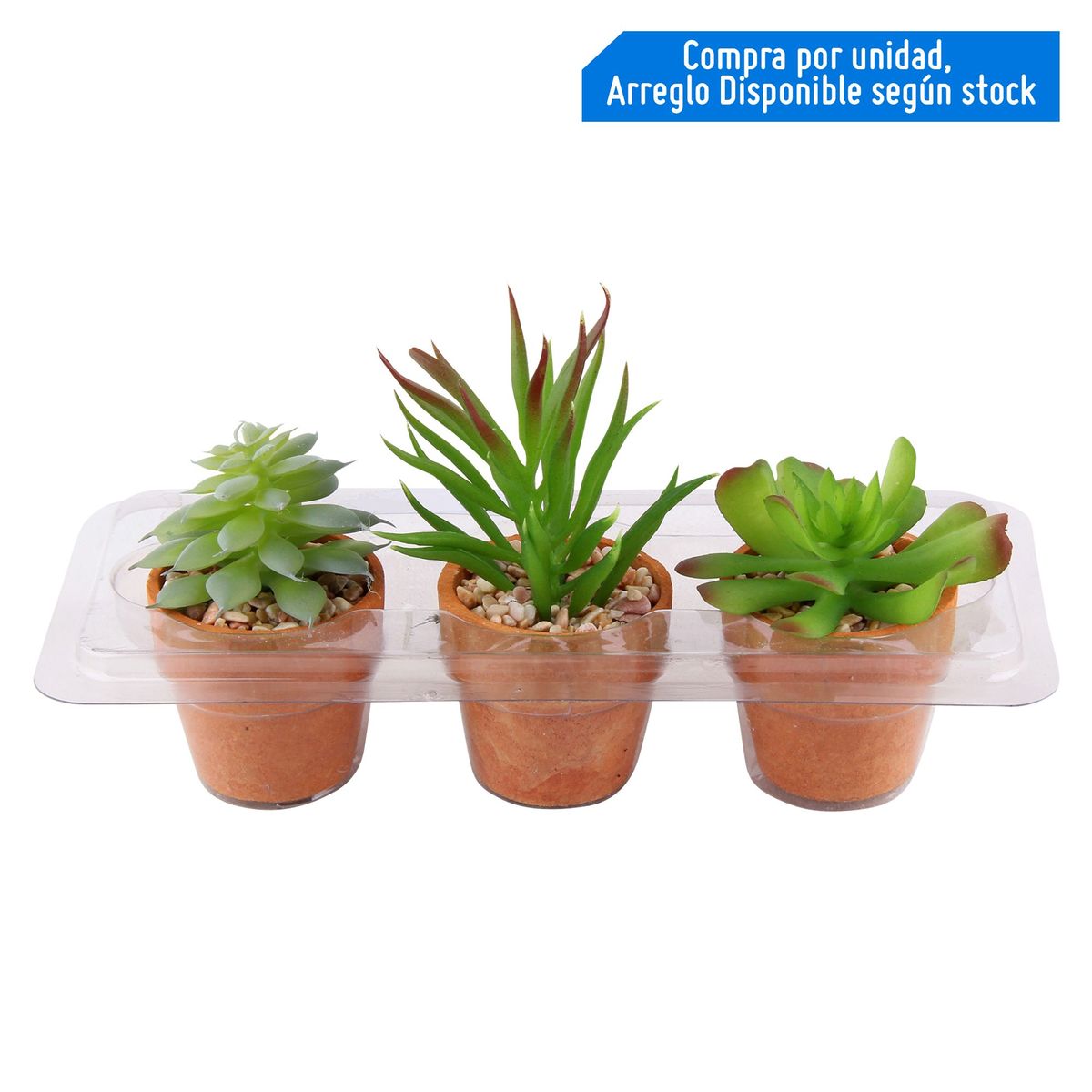 JUST HOME COLLECTION - Arreglo Maceta Suculenta con Maceta Terra 10 cm