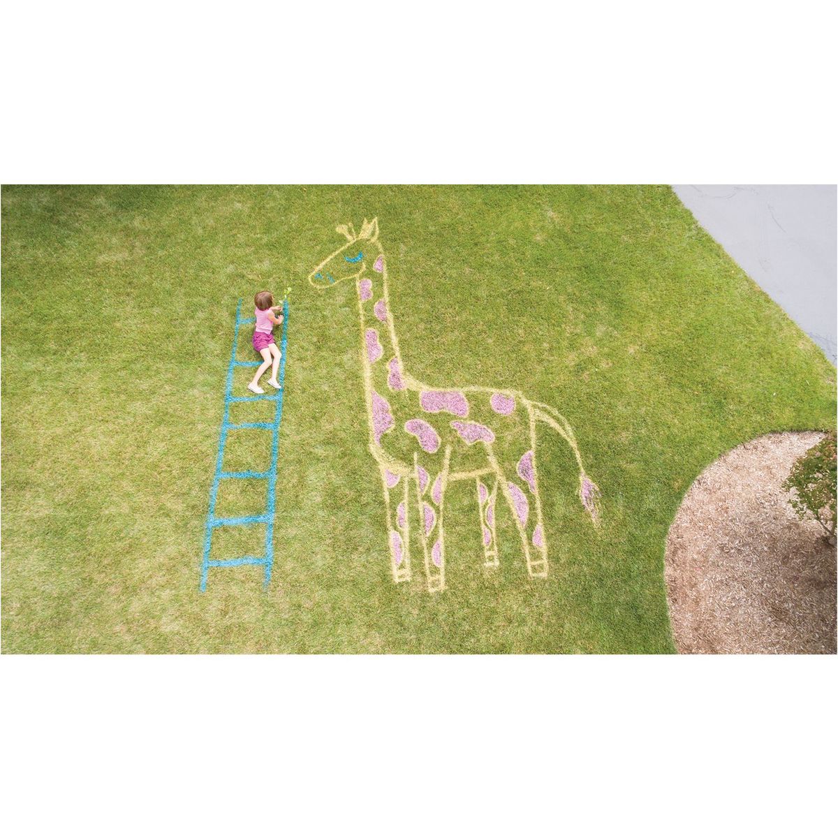 TESTORS - Set Pintura Tizada en Aerosol Spray Chalked