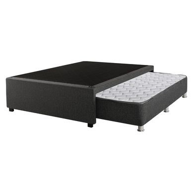 Base Divn Forli 2 Plazas