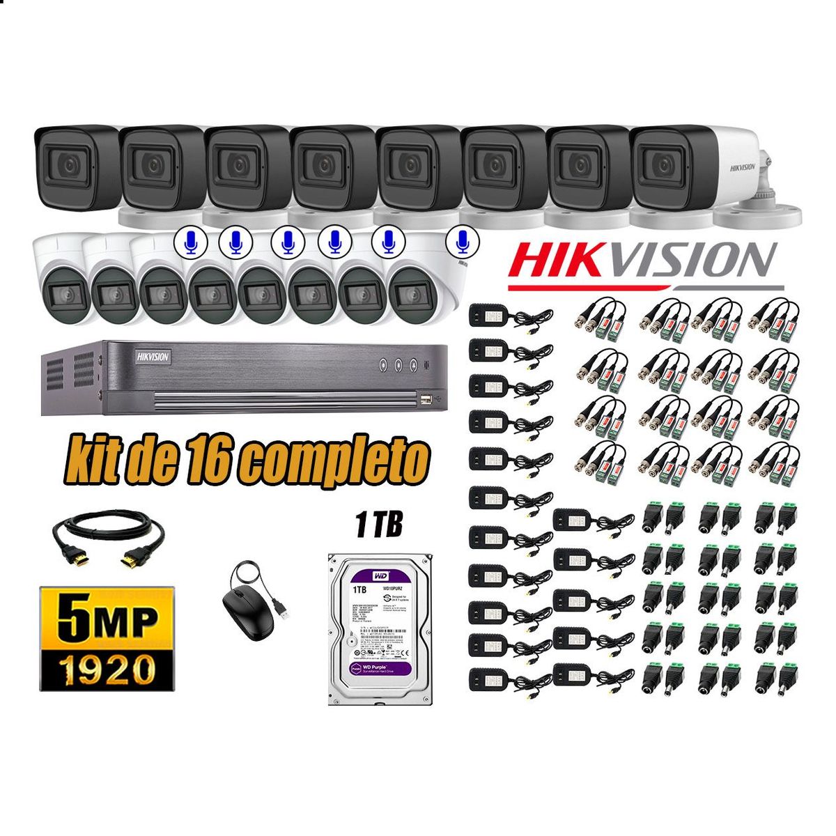 HIKVISION - Cámaras de Seguridad Kit 16 5MP | 06 Cámaras Audio Incorporado Disco 1TB WD P2P
