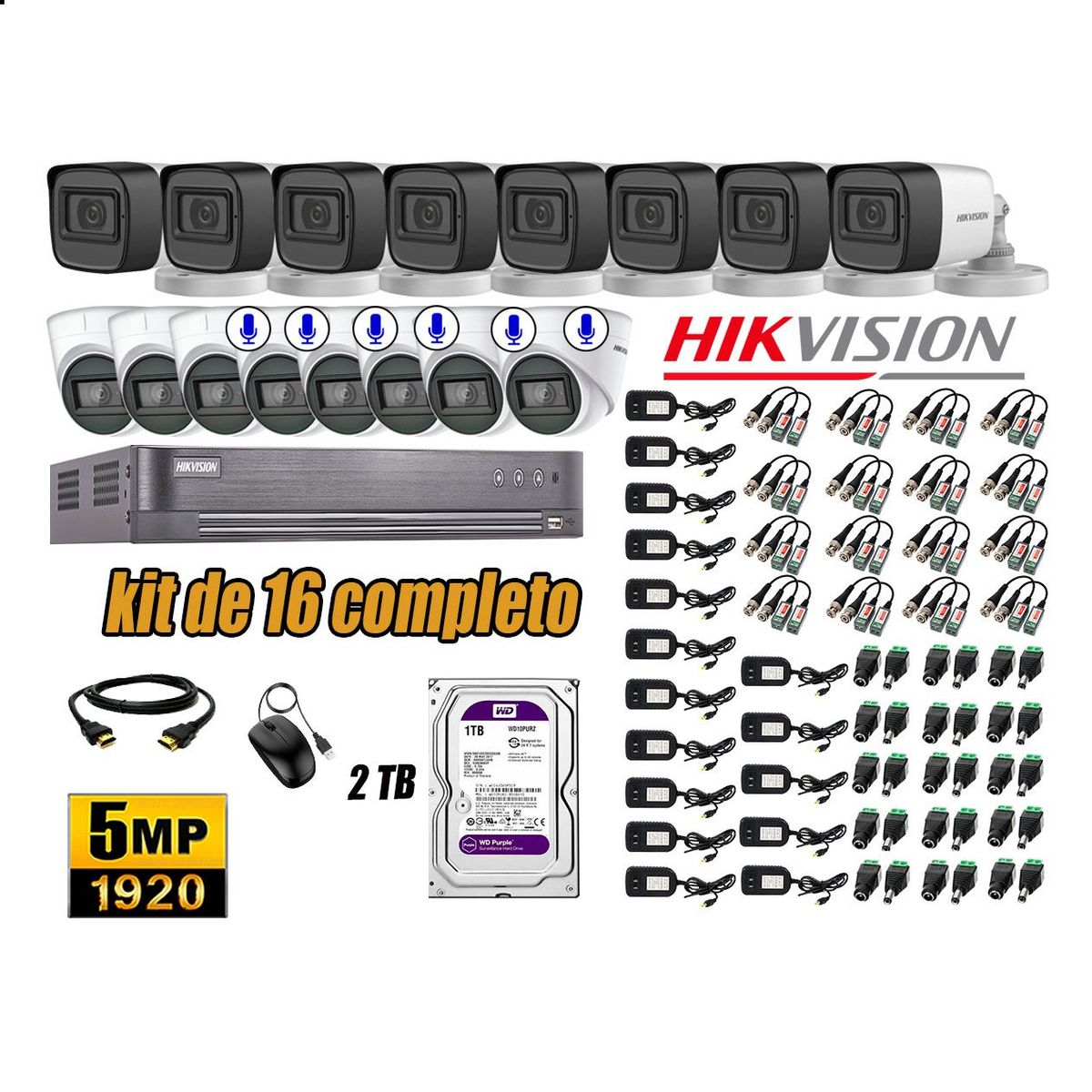 HIKVISION - Cámaras de Seguridad Kit 16 5MP | 06 Cámaras Audio Incorporado Disco 2TB WD