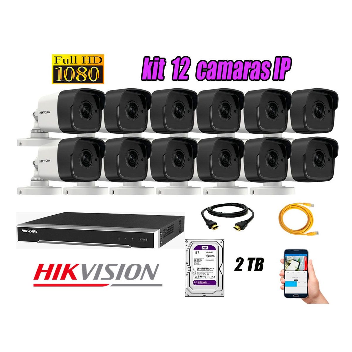 HIKVISION - Cámara de Seguridad Ip Poe Full HD 1080P Exterior Kit 12 Disco 2TB WD Purpura