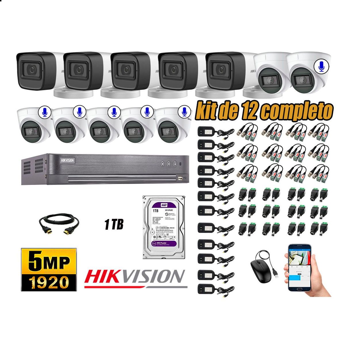 HIKVISION - Cámaras de Seguridad Kit 12 5MP | 06 Cámaras Audio Incorporado Disco 1TB WD P2P