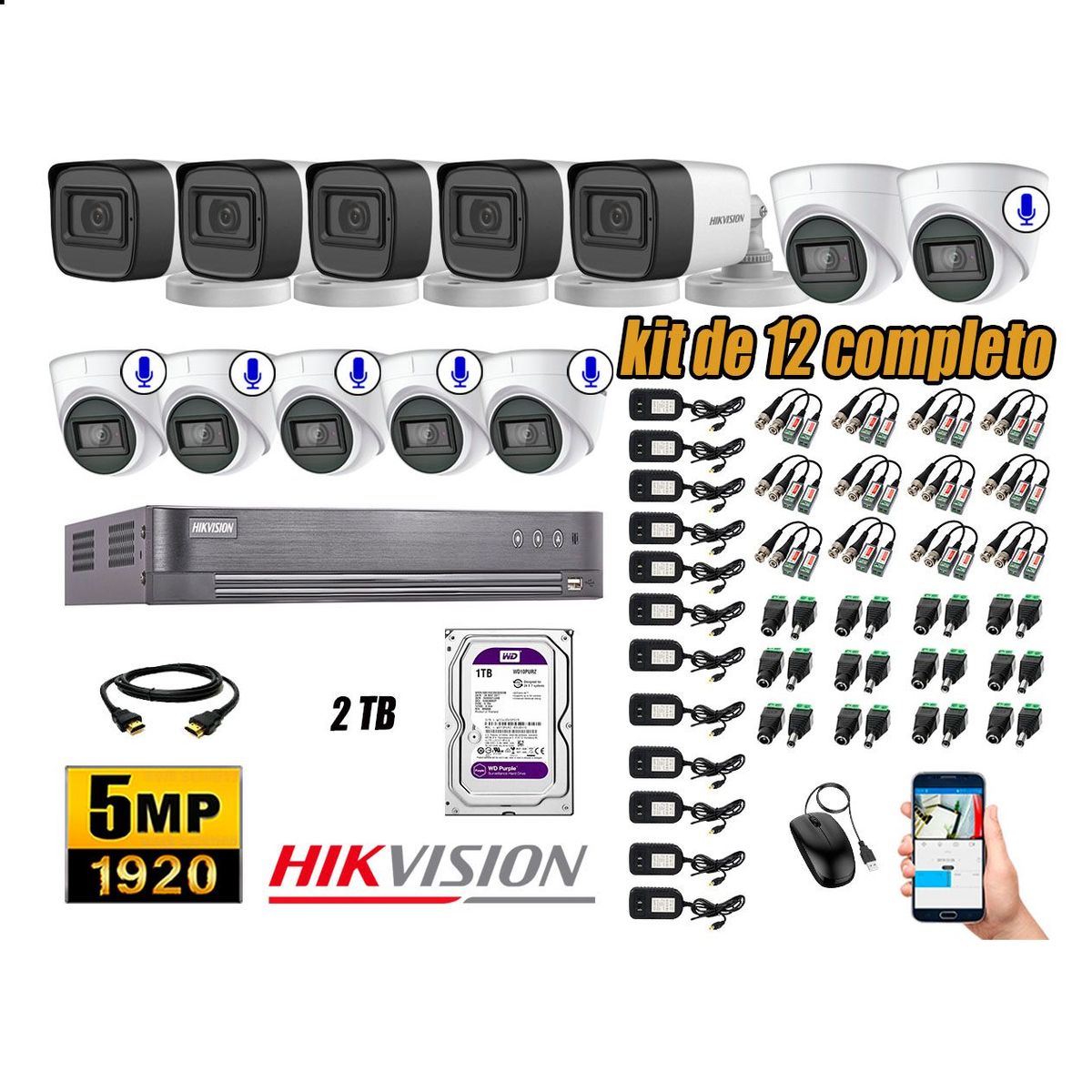 HIKVISION - Cámaras de Seguridad Kit 12 5MP | 06 Cámaras Audio Incorporado Disco 2TB WD