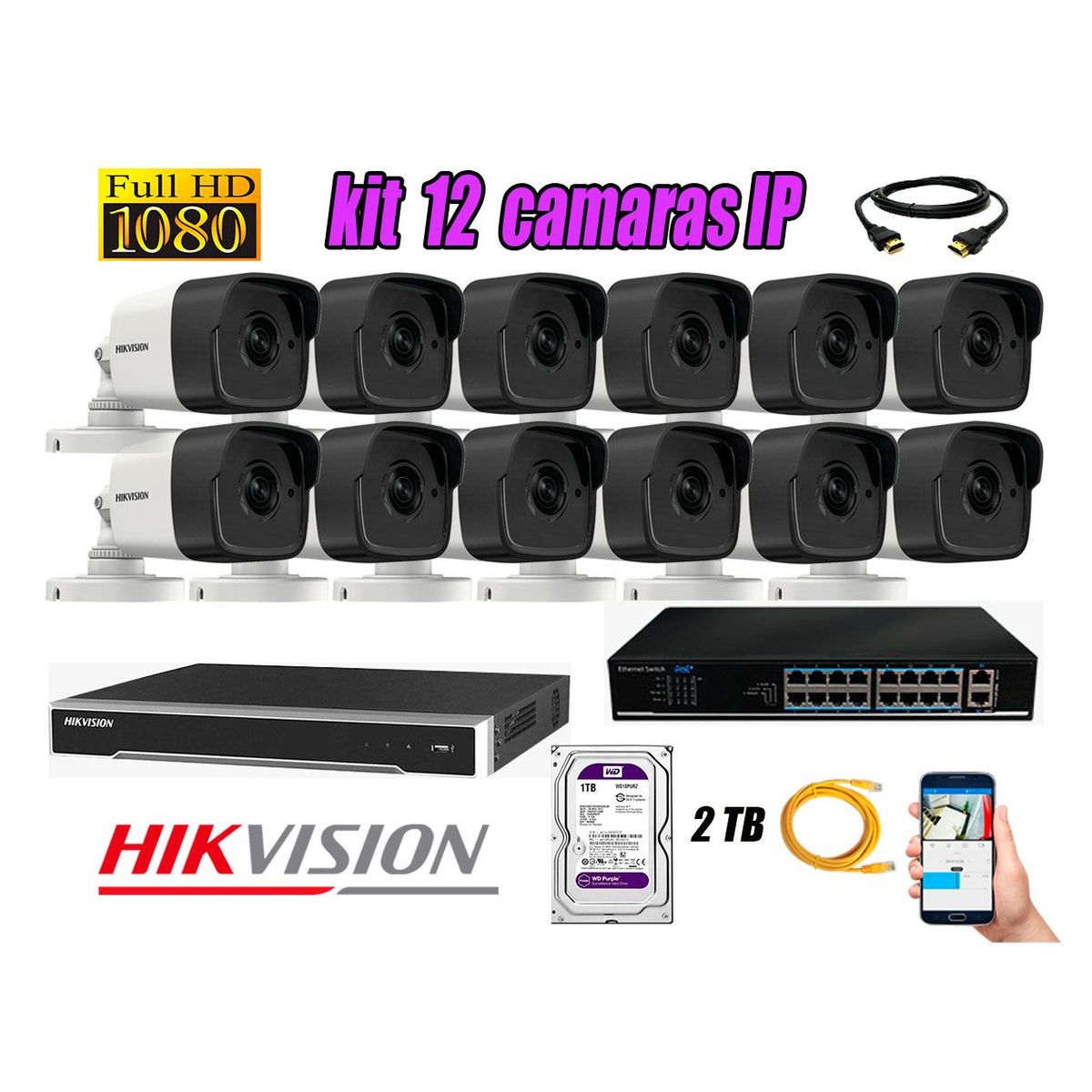 HIKVISION - Camara de Seguridad Ip Full HD 1080P Exterior Kit 12 Disco 2TB WD Purpura