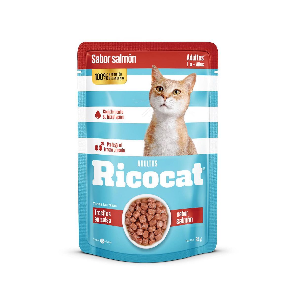 RICOCAT - Ricocat Sabor a Salmón 85g