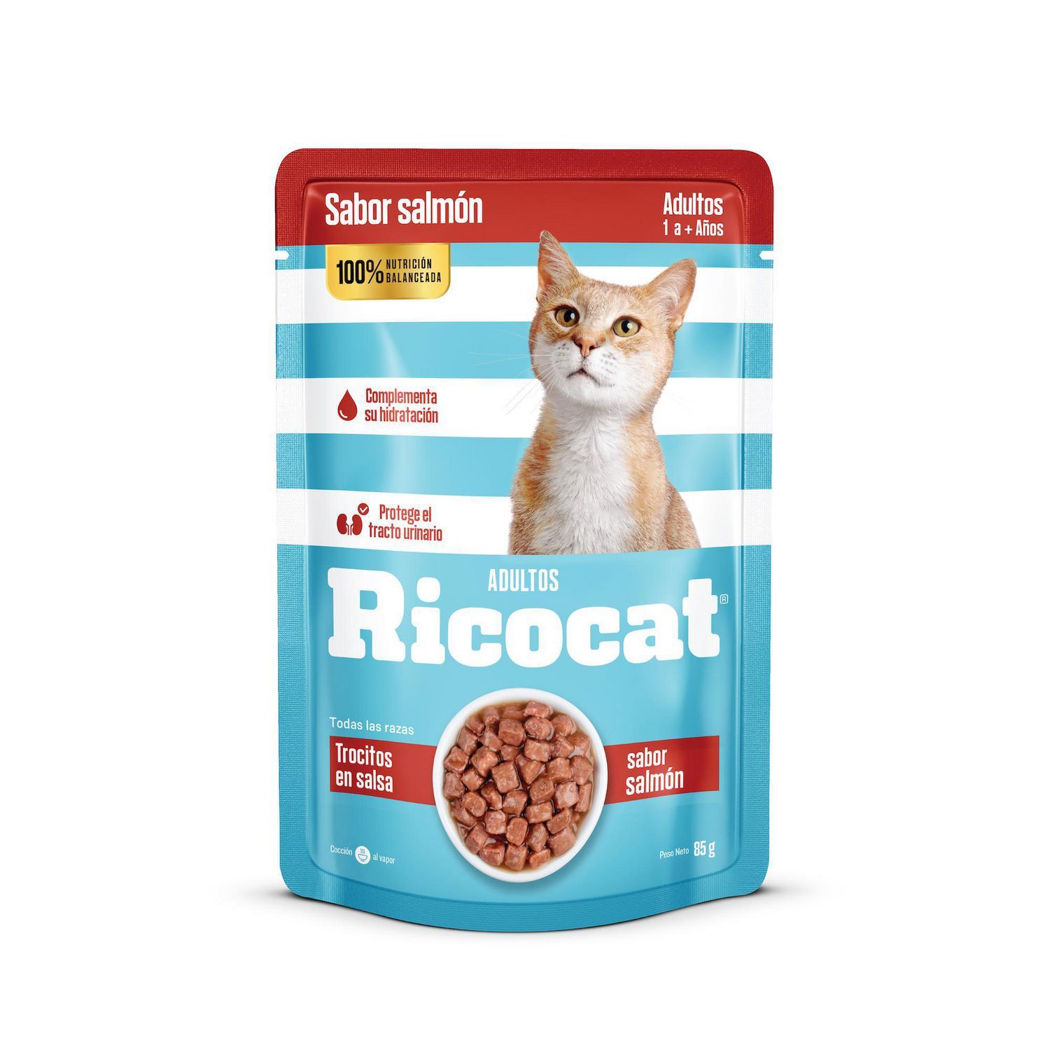 Imagen de Ricocat Puch Sabores Salmon