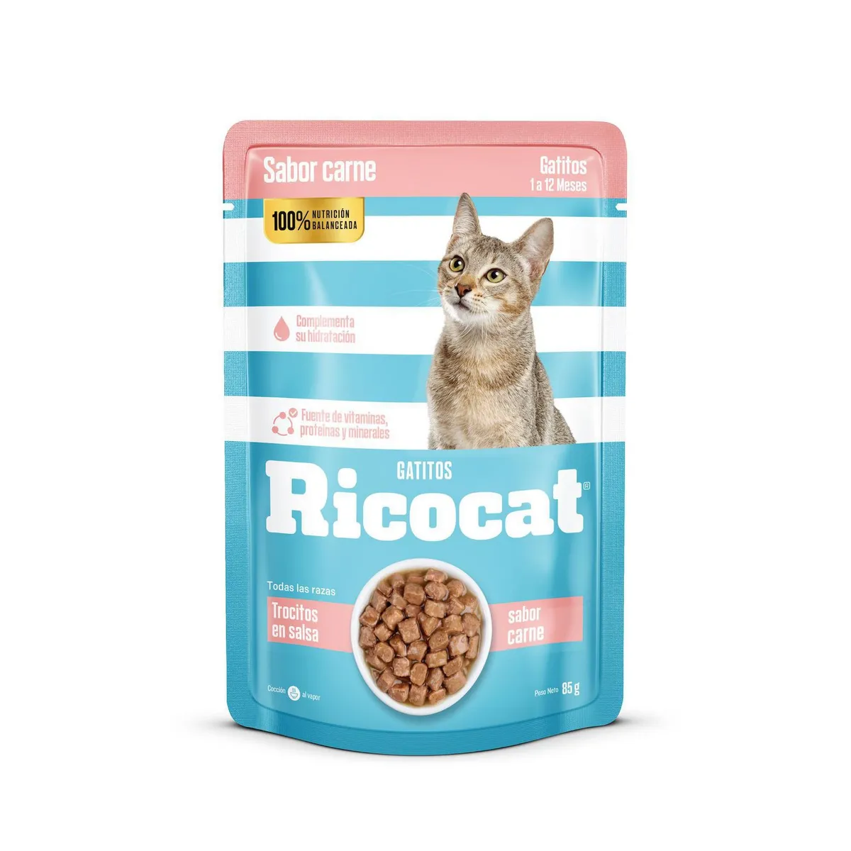 RICOCAT - Ricocat Sabor a Carne 85g