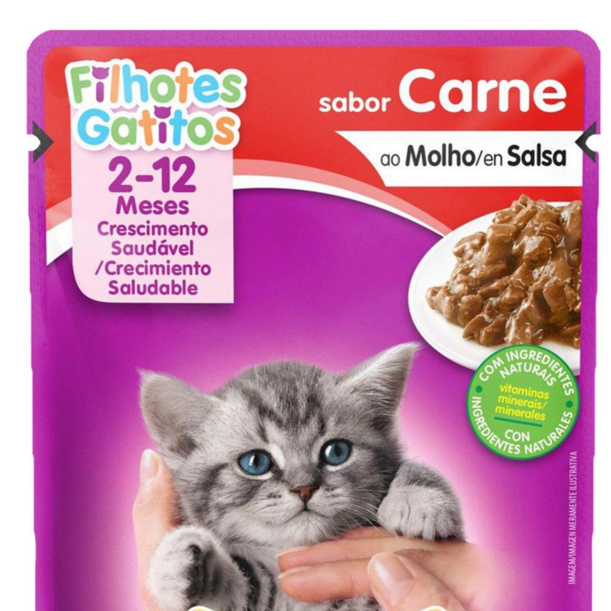 WHISKAS - Whiskas Cachorros Alimento para Gatos 85 gr Sabor Carne
