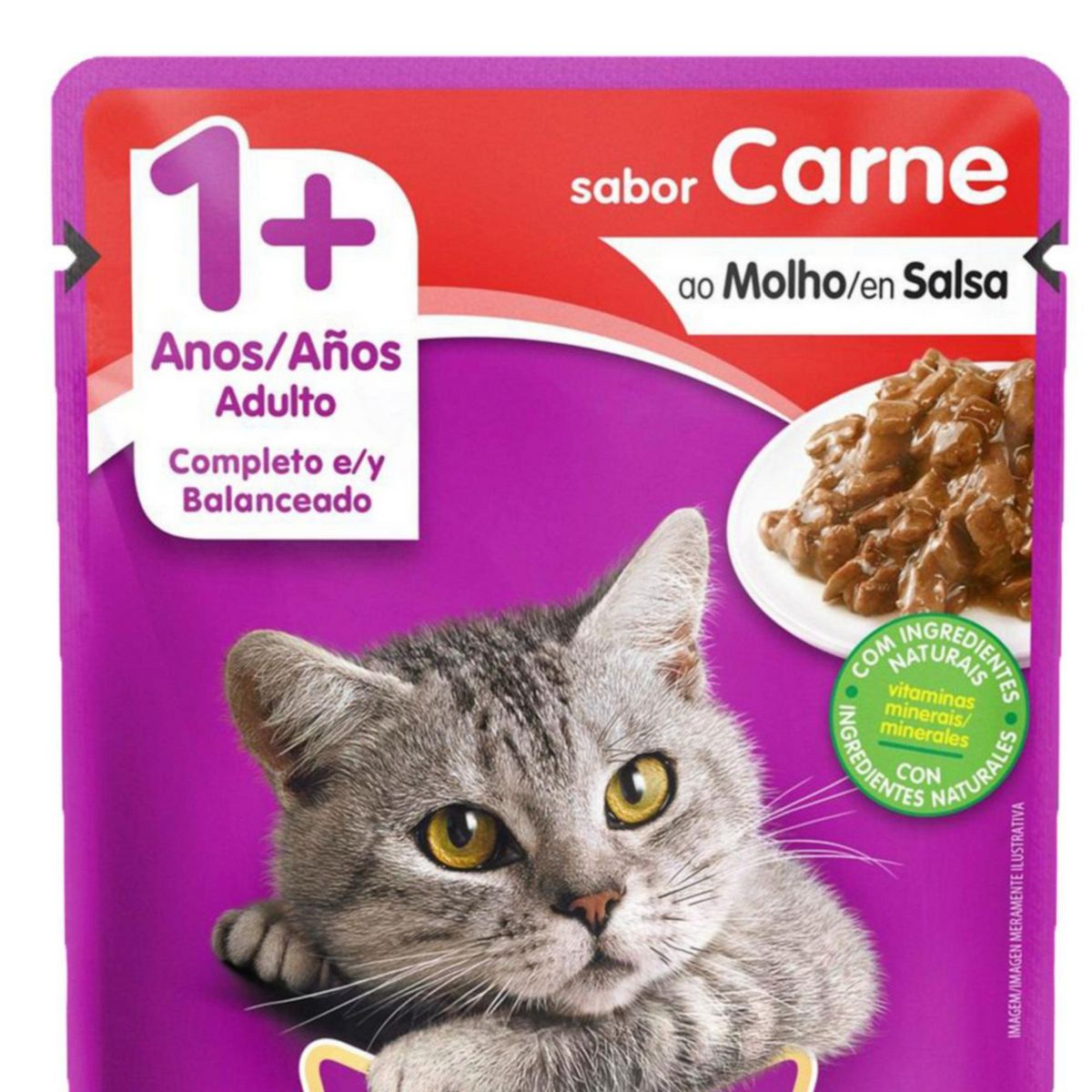 WHISKAS - Whiskas Adultos Alimento para Gatos 85 gr Sabor Carne