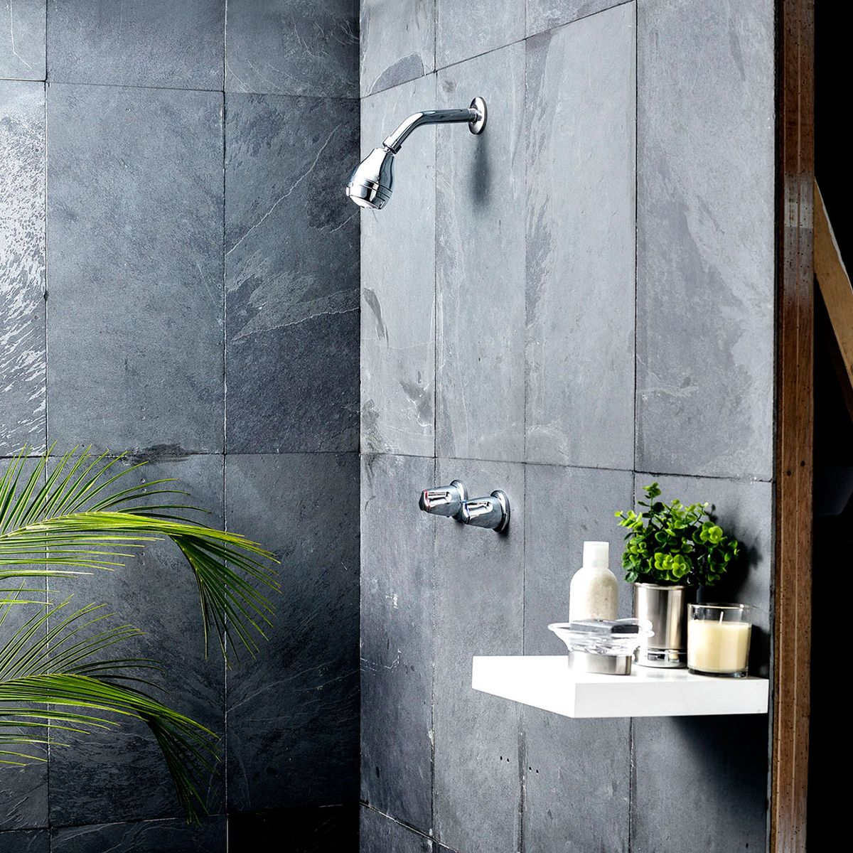 VAINSA - Mezcladora de ducha + Salida Delphis 8''