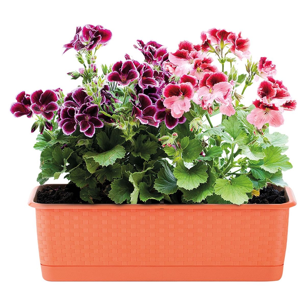 POLINPLAST - Macetero Mimbre Color Cerezo 18.6x15.3x