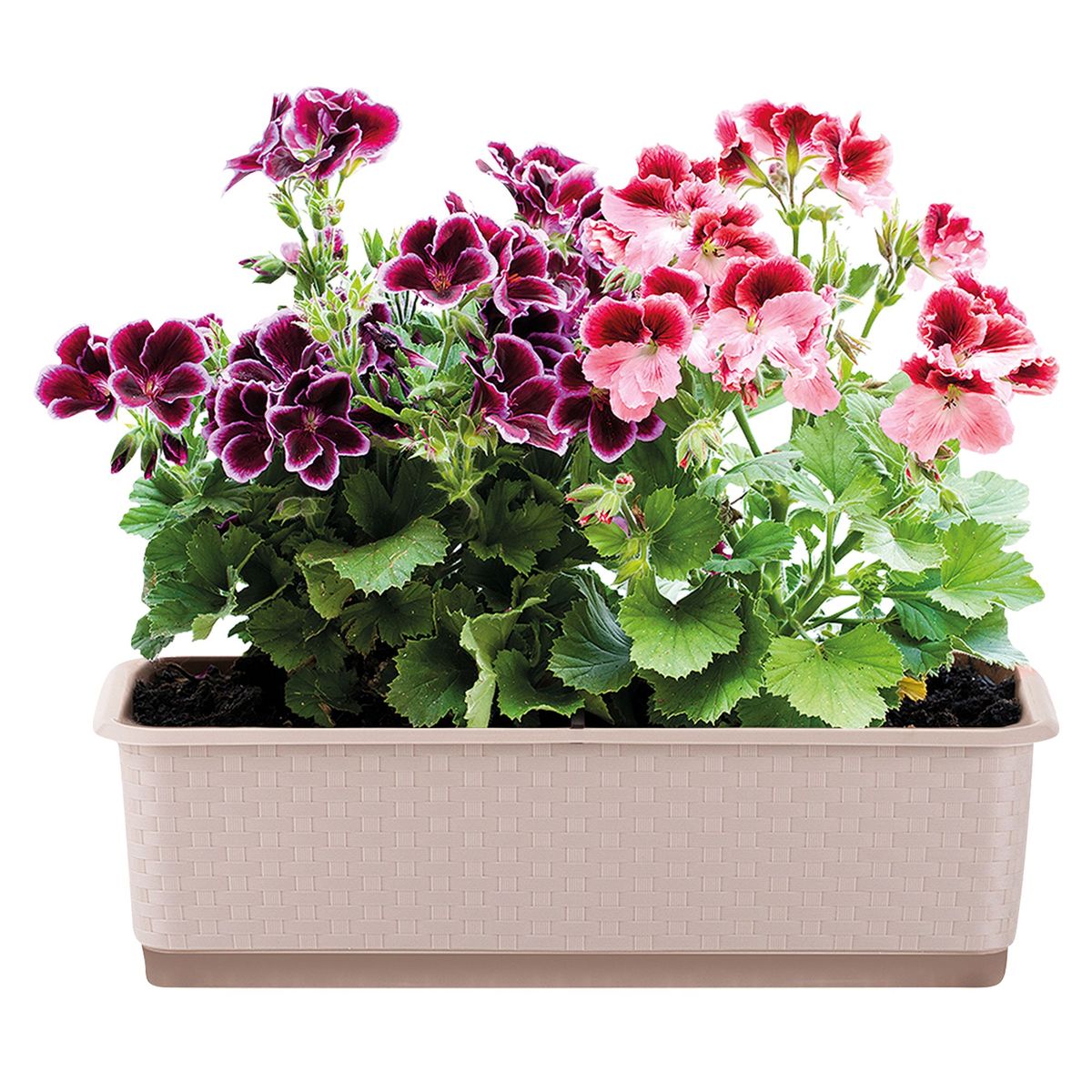 POLINPLAST - Macetero Mimbre Color Beige 18.6x15.3x