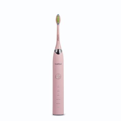 Cepillo Dental Elctrico Snico LDG TB170R