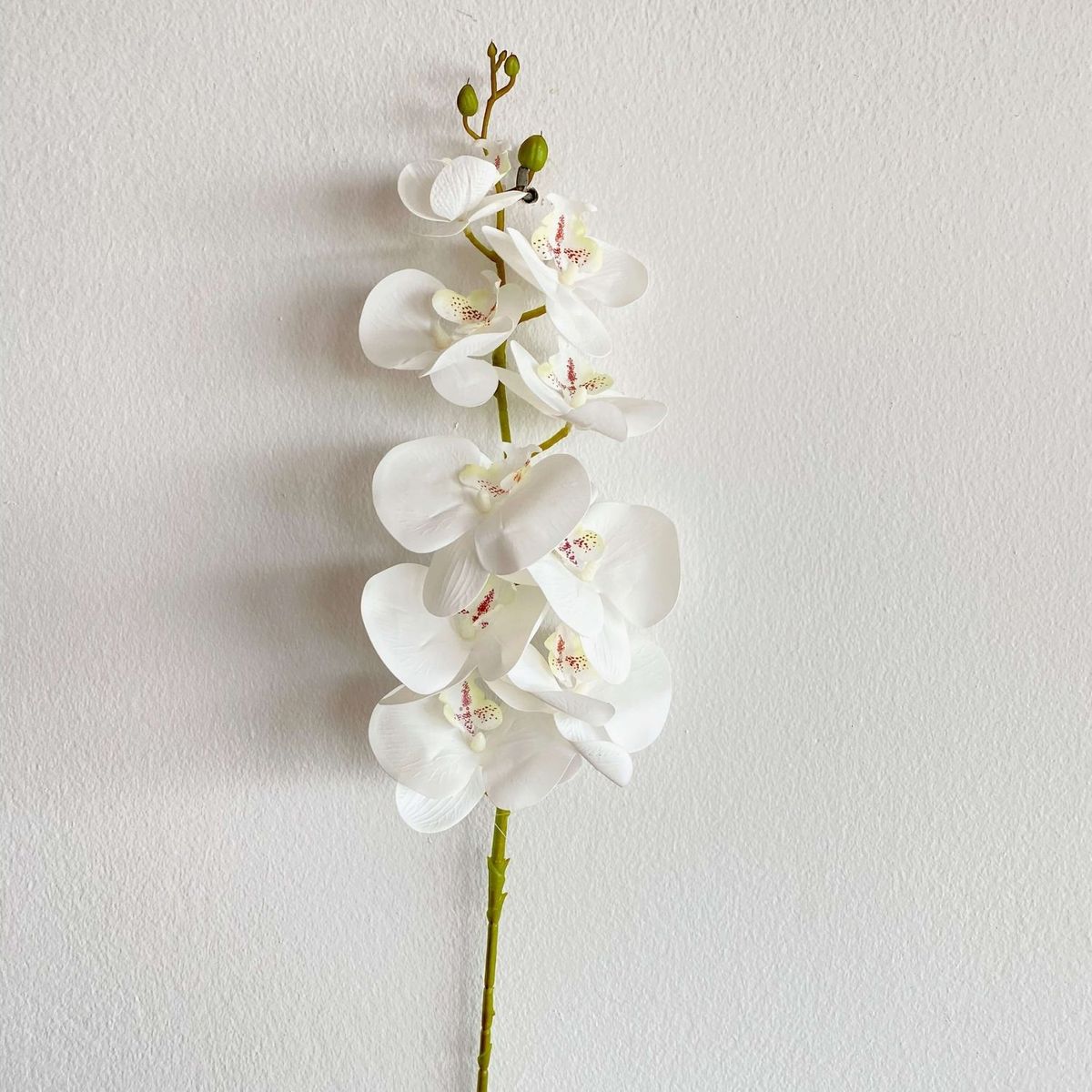 GENERICO - Orquidea Artificial de Silicona Blanco