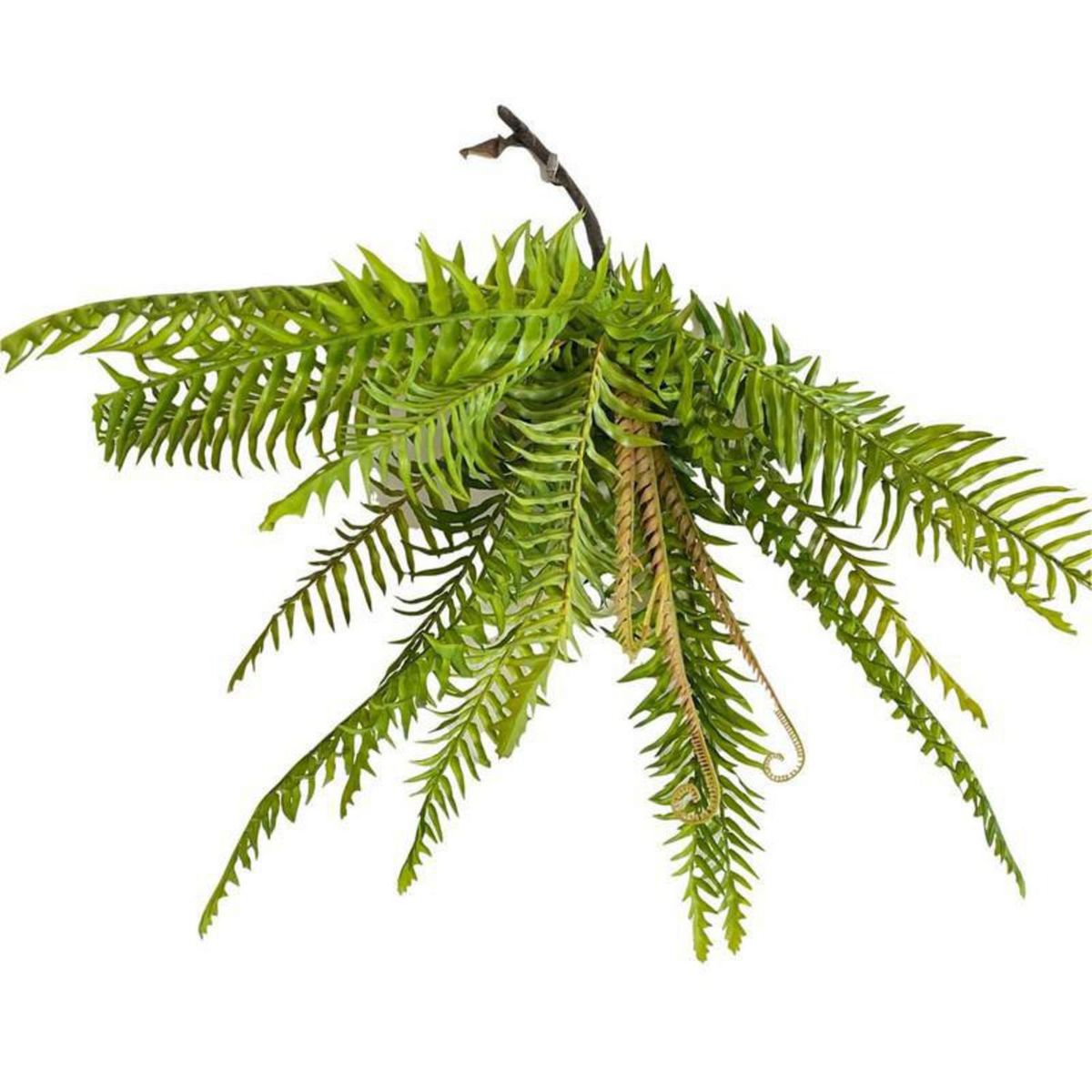 GENERICO - Helecho Artificial 54x32 cm
