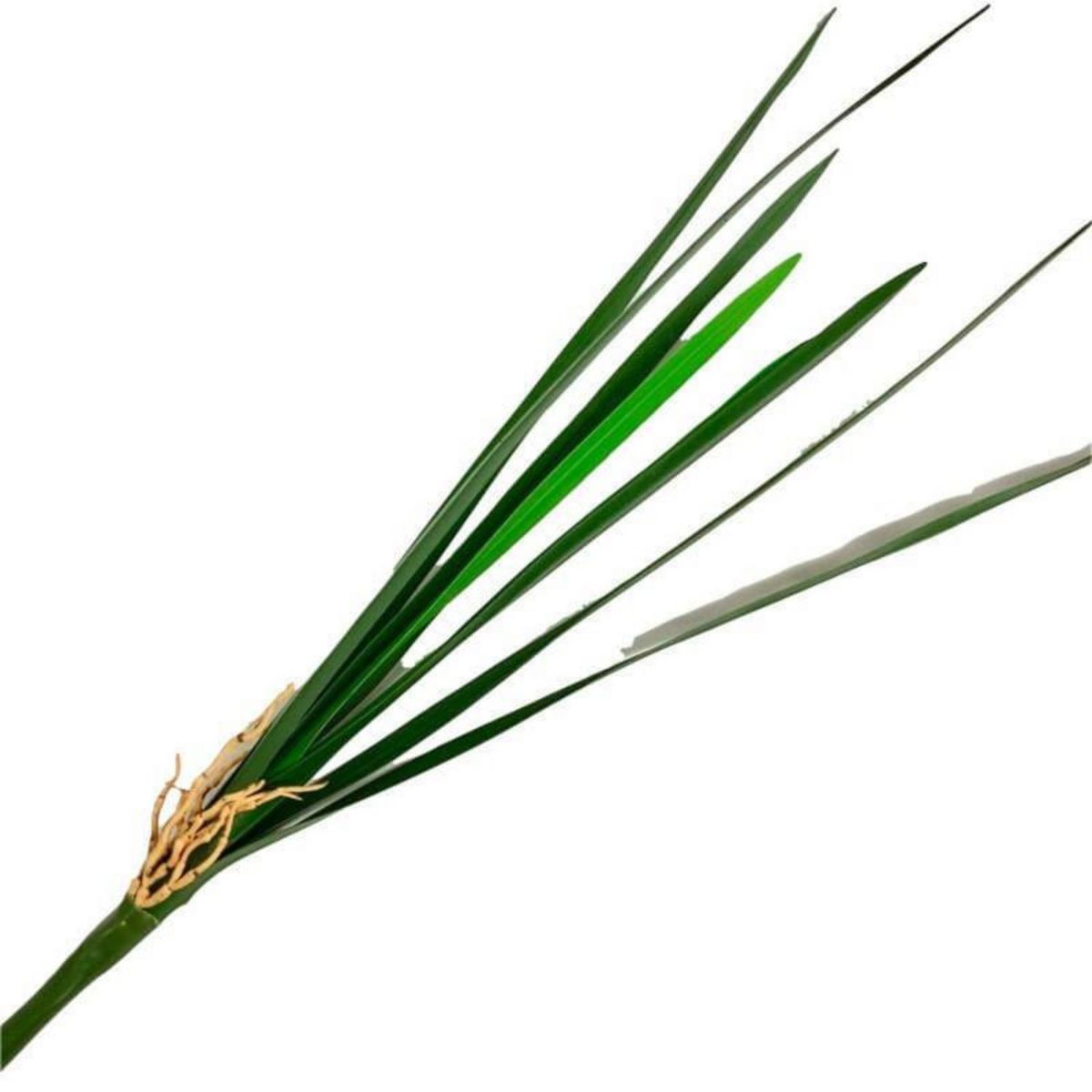 GENERICO - Hoja de Orquídea Grande