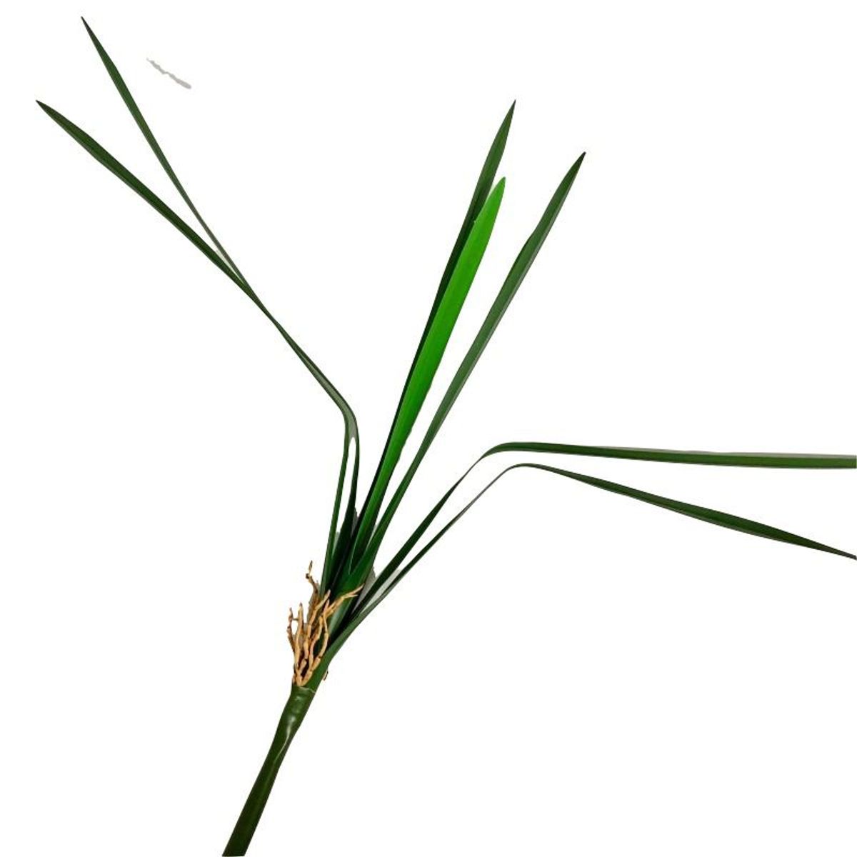 GENERICO - Hoja de Orquídea Grande