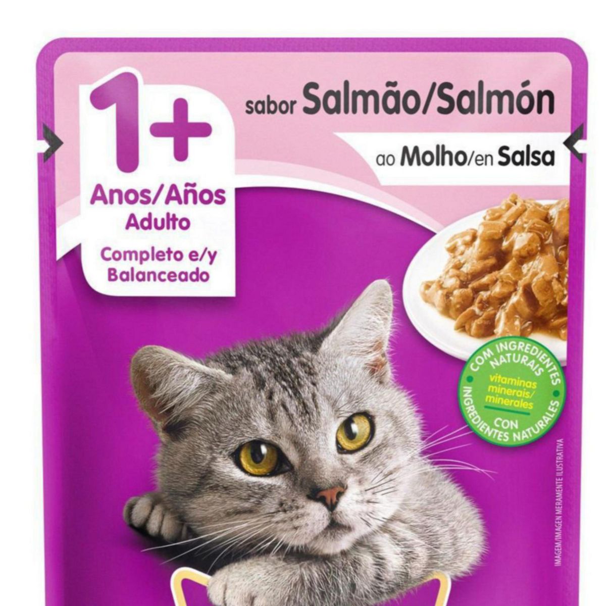 WHISKAS - Whiskas Adultos Alimento para Gatos 85 gr Sabor Salmon